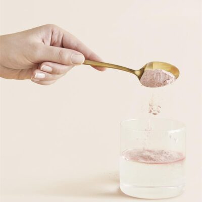 The Beauty Chef GUT REPAIR KIT