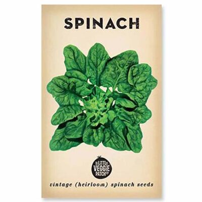 The Little Veggie Patch Co Spinach Heirloom Seeds 1 Pack