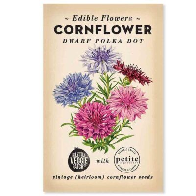 The Little Veggie Patch Co Cornflower Heirloom Seeds 1 Pack