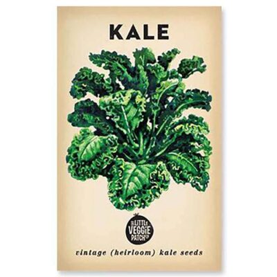 The Little Veggie Patch Co Kale Heirloom Seeds 1 Pack