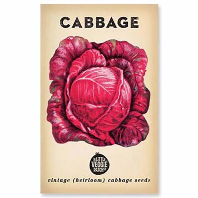 The Little Veggie Patch Co Cabbage Heirloom Seeds 1 Pack