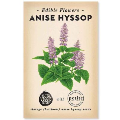 The Little Veggie Patch Co Anise Hyssop Heirloom Seeds 1 Pack