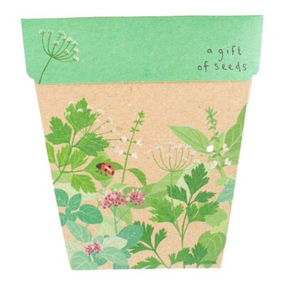 Sow N Sow Gift Of Seeds - Garden Herbs 1 Card