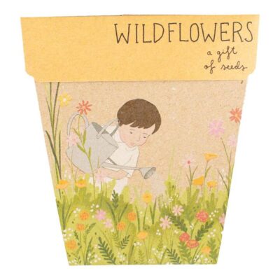 Sow N Sow Gift Of Seeds - Wildflowers 1 Card