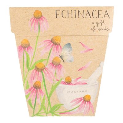 Sow N Sow Gift Of Seeds - Echinacea 1 Card