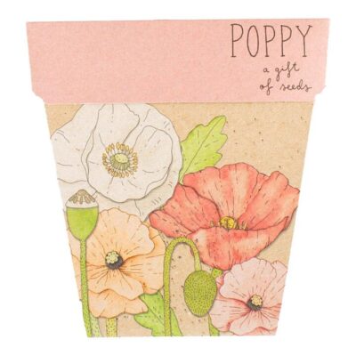 Sow N Sow Gift Of Seeds - Poppy 1 Card