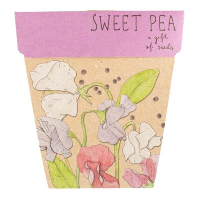 Sow N Sow Gift Of Seeds - Sweet Pea 1 Card