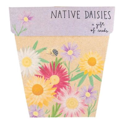 Sow N Sow Gift Of Seeds - Native Daisies 1 Card