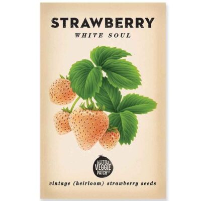 The Little Veggie Patch Co Strawberry Heirloom Seeds 1 Pack