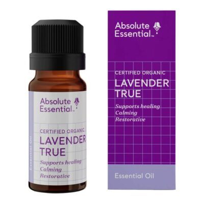 Absolute Essential Lavender True Essential Oil 10ml