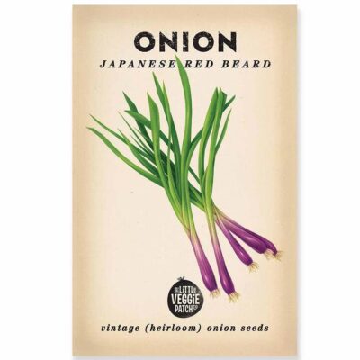 The Little Veggie Patch Co Onion “Japanese Red Beard” Heirloom Seeds 1 Pack