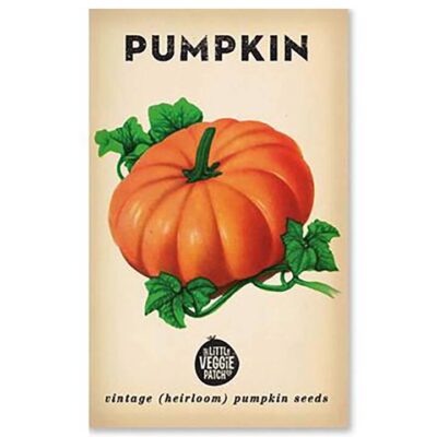 The Little Veggie Patch Co Pumpkin Heirloom Seeds 1 Pack